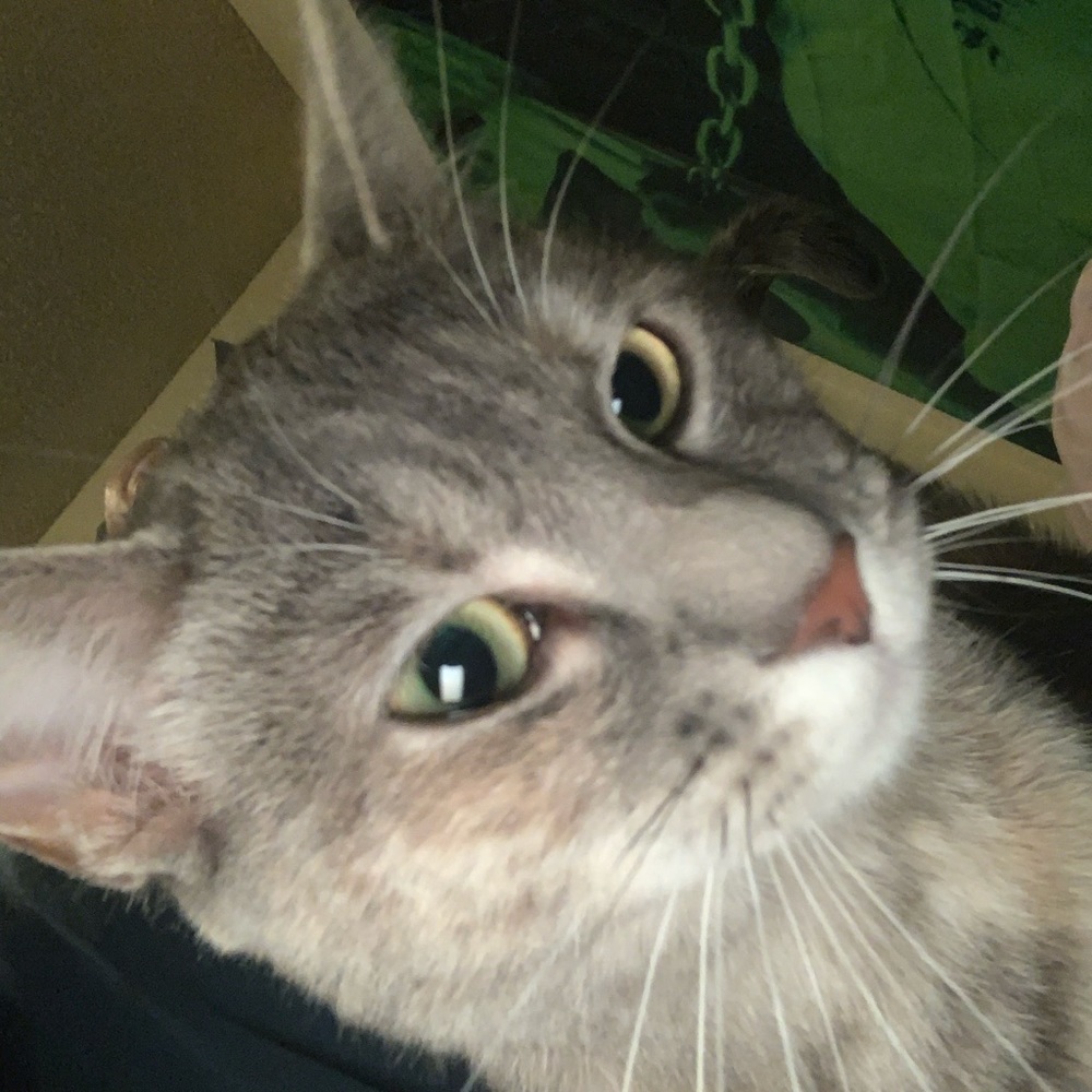 Meet your Posher, Lorena